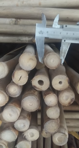 Pôles en bambou robustes et durables pour l'échafaudage, la décoration intérieure, les usages agricoles et industriels - Product Image 5