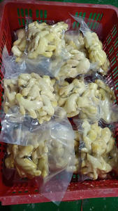 Gingembre congelé de qualité supérieure du Vietnam à prix de gros et bon marché - Product Image 6