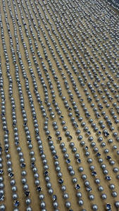 2024 nouveau luxe cristal perle bleu perlé dentelle tissu haute qualité fête et robe de mariée accessoires verre matériel - Product Image 3