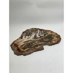 Plaque de bois pétrifié naturel en gros, épaisseur 2 cm, pour décoration intérieure, présentation sur table, artisanat en pierre - Product Image 4