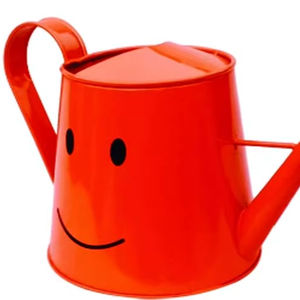 Arrosoir en acier inoxydable de qualité supérieure intérieur extérieur long bec design moderne élégant plantes de jardin résistantes à la rouille - Product Image 1