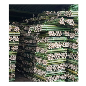 Estacas de bambú de alta calidad o bastón de bambú Precio barato Proveedor de Vietnam Bambú de Vietnam - Product Image 1