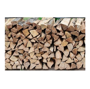 La Mejor Leña de Roble Seca / Leña de Horno / Leña de Haya - Product Image 5