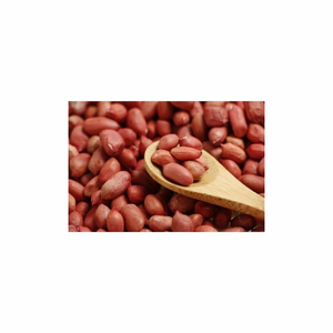 2024 Portable Automatic Electric Dry Ground <b>Nut</b> Sheller Machine Large Capacity Motor for Organic Farm Wholesaling Raw <b>Nuts</b> - Product Image 3