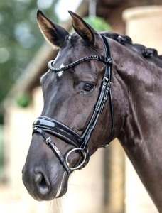 Brida de doma Cob de tachuela de caballo inglés de lujo de patente negra con Crystal Browb y Crank Noseband acolchada para Full Warmblood - Product Image 6