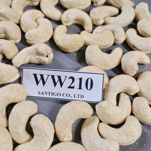 เมล็ดมะม่วงหิมพานต์ดิบถั่วซานติโก้ W210ตะวันออกกลาง WW210ส่งออกไปยังตะวันออกกลาง - Product Image 1