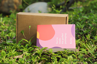 Boîte d'expédition en carton ondulé personnalisable OEM pour bijoux, emballage professionnel