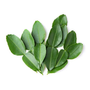 สมุนไพรหอมธรรมชาติแช่แข็งใบมะนาวขายส่งจำนวนมากสินค้าส่งออกขายดี - Product Image 6