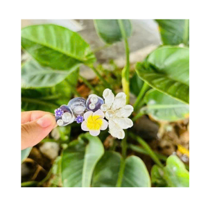 Pinza para el Cabello con Conchas Marinas, Accesorio Premium Hecho a Mano con Conchas Oceánicas, Elaborado por un Proveedor Vietnamita de Renombre - Product Image 5