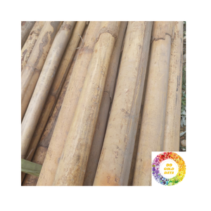 Belles poteaux en rotin naturel Poli Manau Cane Idéal pour les travaux de meubles créatifs et les décorations artisanales - Product Image 6