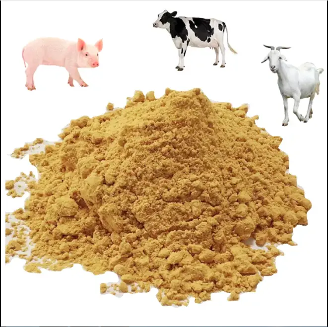 Organic wheat bran / High protein chicken feed/Yellow Wheat Bran For Animal Feed Corn Gluten Meal protein 60%