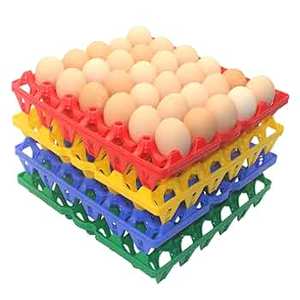 ไข่ไก่ปรุงสุกแบบธรรมชาติและสดใหม่เก็บรักษาไว้ - Product Image 6