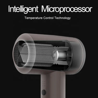 Sèche-Cheveux Portable Professionnel Binwang, Mini Séchoir à Cheveux sans Fil Rechargeable au Lithium 300W pour Extérieur et Domicile