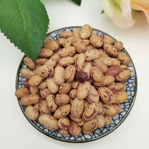 ถั่วแดงเข้มน้ำตาลถั่วฝักยาวสีน้ำตาล - Product Image 2