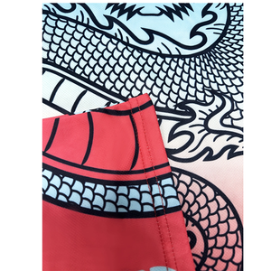 Maillot de football américain pour adultes de haute qualité, coupe automatisée, léger, bleu et rose avec un design de dragon, maillot de football - Product Image 5