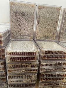 Miel de panal de abeja de calidad de exportación con capas de cera intactas, adecuada para cadenas de minoristas, distribuidores y mayoristas. - Product Image 4