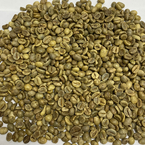 เมล็ดกาแฟโรบัสต้าคุณภาพสูง PHALCO เกรด 1 ขนาดกรอง 16/18 จากเวียดนาม ดักลัก 1000 กก. ราคาดีที่สุด พร้อมส่งออก บรรจุถุงกระสอบ - Product Image 4