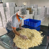 Noix de cajou traitée, vente de sac vietnamien, Style court, bon emballage, origine brute rapide, Type sous vide, qualité élevée, qualité séchée, prix étain