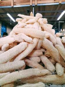 Esponjas Loofah de buena calidad de venta al por mayor/Loofah de baño entero de 99GD Vietnam - Product Image 4