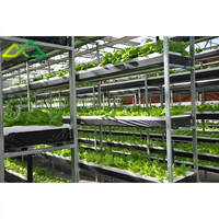 Système hydroponique commercial et kit de serre pour la culture de légumes et de fleurs à haut rendement