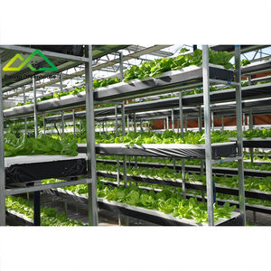 Commercieel hydroponisch systeem & kaskit voor de teelt van groenten en bloemen met een hoge opbrengst - Product Image 2