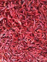 Poivron rouge sec | Dosettes de paprika entières | Piment rouge séché du Vietnam