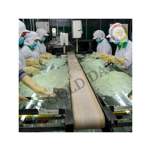 Aloe Vera pur avec couleur naturelle et texture lisse utilisé dans la formulation de boissons et les applications industrielles - Product Image 5