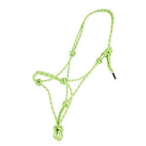 Conception personnalisée de votre propre collier de tête en cuir licou professionnel fabrique rembourré corde cheval licou pour la course - Product Image 1