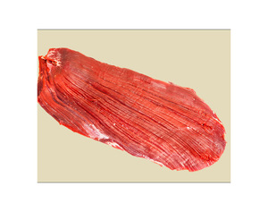 Flanco grueso de ternera de alta calidad a granel excelente para pedidos de gran volumen ideal para necesidades de catering y restaurante - Product Image 5