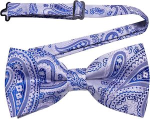 Hot Selling New Fashion <b>Silk</b> Neck <b>Ties</b> <b>Men</b> Custom Design Fashion Printed Business Style Bow <b>Ties</b> Stripes Pattern Wholesale OEM - Product Image 4