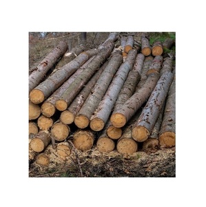 Troncos redondos de madera de pino para leña/barbacoa-Secado, partido y sazonado - Product Image 2