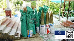 VENTE CHAUDE Bâton de balai de noix de coco Bâton durable flexible adapté au nettoyage quotidien intérieur extérieur et à la fabrication de balais ménagers - Product Image 3