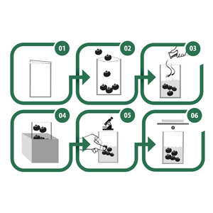 Bolsa Stomacher estéril con protección contra rasgaduras sin sistema de cierre, seguridad alimentaria, investigación, suministros de laboratorio SCL41214 - Product Image 2