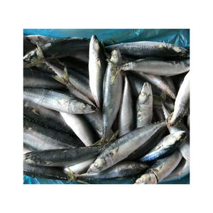 Caballa congelada de alta calidad de las mejores ventas - Product Image 2