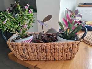 ตะกร้าสานไม้ไผ่สานด้วยมือสำหรับใส่ดอกไม้กลางแจ้ง2024 - Product Image 2