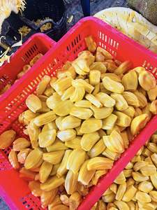 Jacasfrutas Congeladas de Primera Calidad 99 Gold Data, Vietnam, Modelo Jerry, Ciudad de Ho Chi Minh, 24 Meses de Vida Útil, Precio Competitivo al por Mayor - Product Image 4