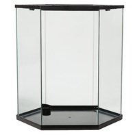 Vente en gros Terrarium en verre géométrique hexagonal fait à la main avec cadre en fer fini noir pour le rangement des plantes de décoration de Table.