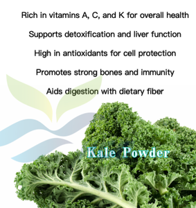 Hgo ผงผักคะน้าธรรมชาติบริสุทธิ์ (เกรดอาหาร) ข้อมูลจำเพาะผงผัก (ผลไม้หรือผงผัก) - Product Image 5