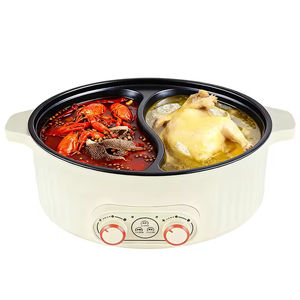 Plaque chauffante électrique multifonctionnelle de 7 litres à économie d'énergie avec couvercle en verre et fond plat pour usage extérieur et hôtelier - Product Image 2