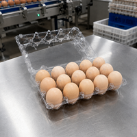 Plateau à œufs 15 alvéoles en plastique PET transparent avec boîte à clapet empilable pour fermes avicoles, supermarchés et centres d'emballage