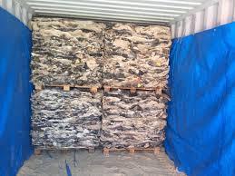 Pieles de Cabeza de Vaca de Primera Calidad, Saladas y Mojadas |   Mejores Precios - Product Image 4