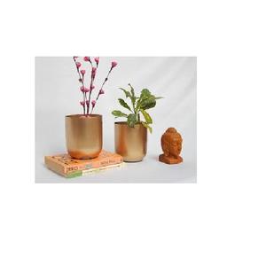 Meilleure vente Jardinière en métal en fer design exportateur en gros Jardinière en fer galvanisé design personnalisé fait à la main - Product Image 3