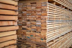 Madera de embalaje de eucalipto para proyectos de alta demanda Madera de embalaje de álamo Madera para uso comercial - Product Image 2