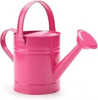 Bidon d'eau/pot en étain galvanisé naturel pour la décoration de jardin à la maison Arroseur intelligent Fournitures pour la maison et le jardin Arrosoir en métal