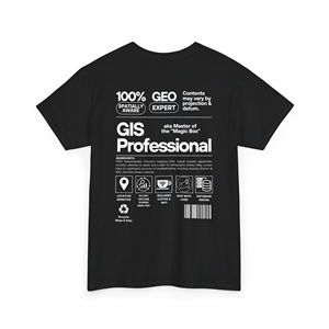 T-shirt 100% unisex in cotone pesante oversize 240g con logo per professionisti GIS - Product Image 1