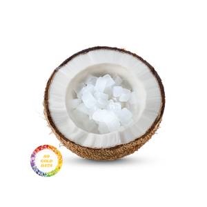 Buen precio: sabrosa gelatina crema de coco con jarabe crudo Nata De Coco fruta gelatina pudín de 99GD fabricante líder Vietnam - Product Image 1