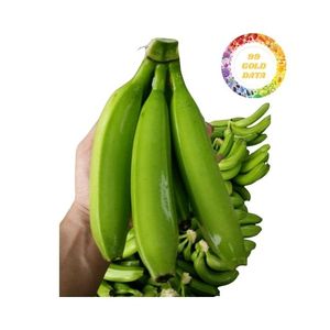 Plátanos Cavendish frescos de Vietnam Premium seleccionados cuidadosamente y suministrados con soporte profesional de exportación y alta consistencia - Product Image 1