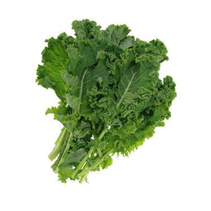 Approvisionnement en vrac de kale cultivé dans la ferme fraîche disponible feuilles de kale à haute valeur nutritive idéales pour la cuisson des jus et le commerce d'exportation mondial - Product Image 2