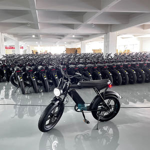 Bicicleta Eléctrica de Montaña Europea con Llantas Gruesas de 20 Pulgadas, Motor V8 de 500W-1000W 750W, Bicicleta Eléctrica de Carretera de 48v - Product Image 3