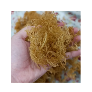 Mousse de coton séchée et naturellement transformée de qualité supérieure pour divers soins de la peau culinaires et utilisations commerciales avec du vrac de haute qualité - Product Image 2